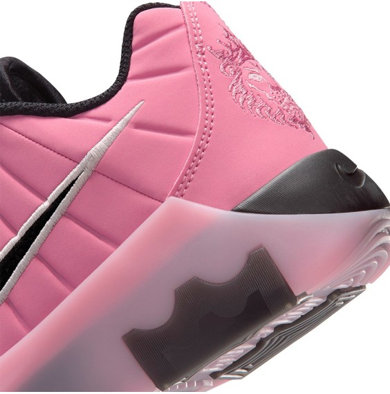 Acheter Chaussures LeBron Witness 9 Elemental Pink | 24Segons