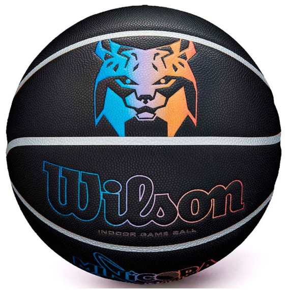 Buy Wilson Evolution Game Minicopa Endesa Sz.7| Ball 24Segons