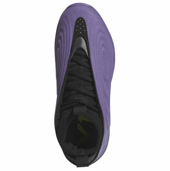 Compra les adidas Performance Harden Vol. 10 Matte Purple | 24Segons