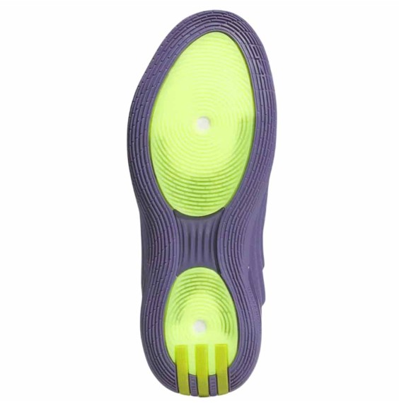 Compra les adidas Performance Harden Vol. 10 Matte Purple | 24Segons