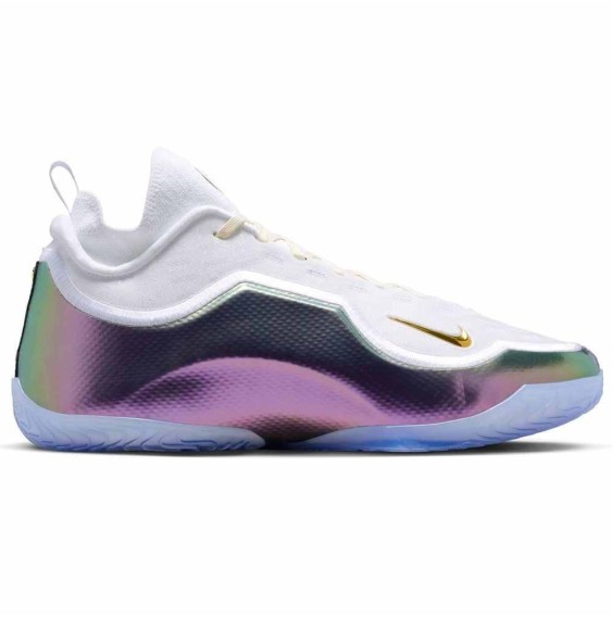 Acheter LeBron XXIII Elite For the Record Shoes | 24Segons