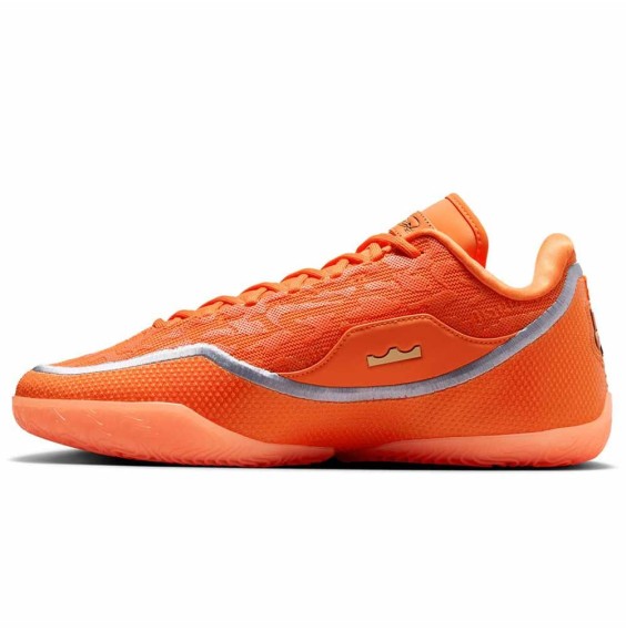 Acquista la borsa per le scarpe LeBron XXIII 24Segons