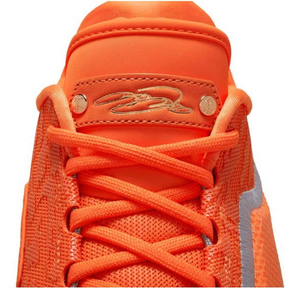 Buy LeBron XXIII Shoe Bag | 24Segons