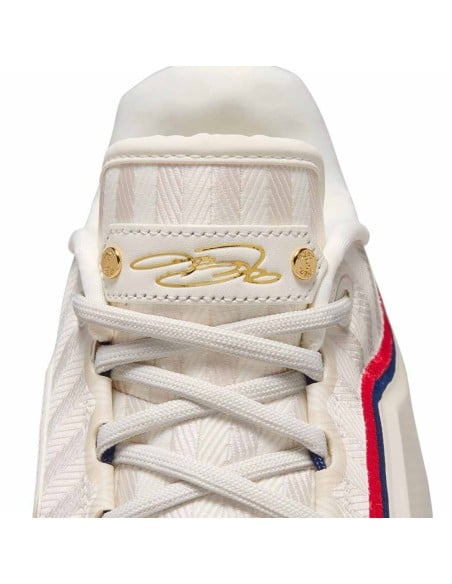 Acquista le scarpe Nike Lebron XXIII Old Glory | 24Segons