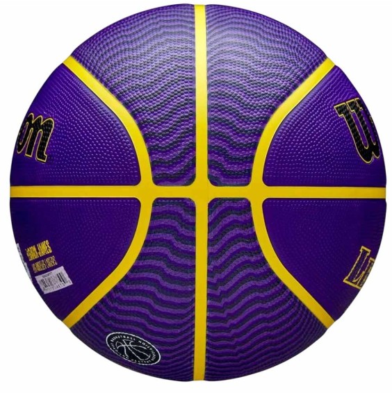Compra Balón Wilson NBA Lebron James Sz7 | 24segons